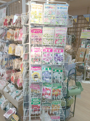 春まき種子
