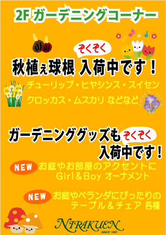 秋植え球根 入荷