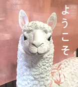 悤