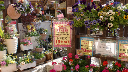 花の日