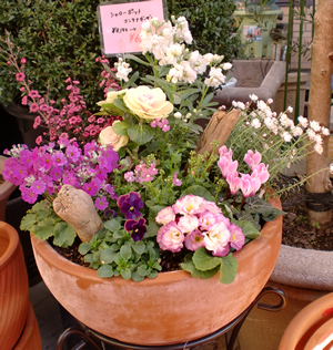 テラコッタ植え込み