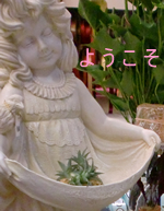 悤